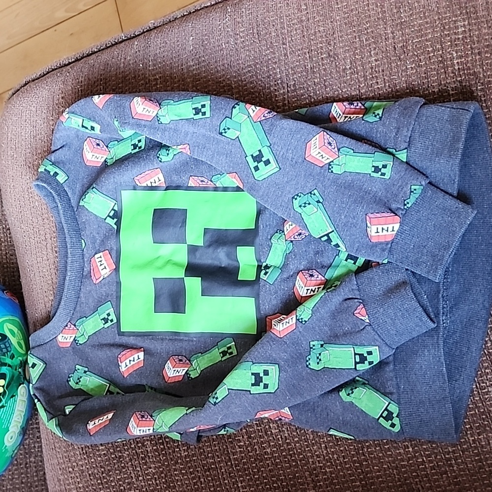 Minecraft hoodie